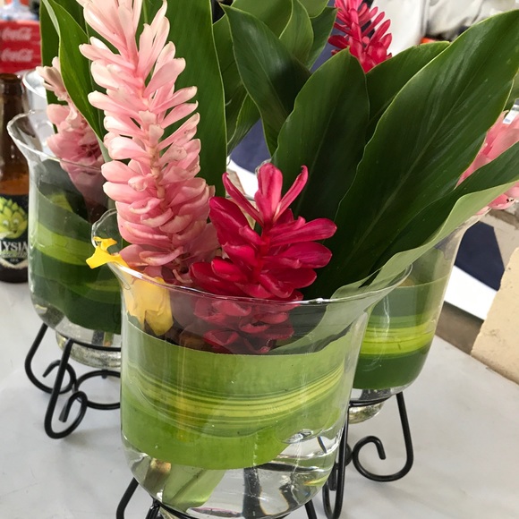 Meet your Posher, Therese - Picture 1 of 1